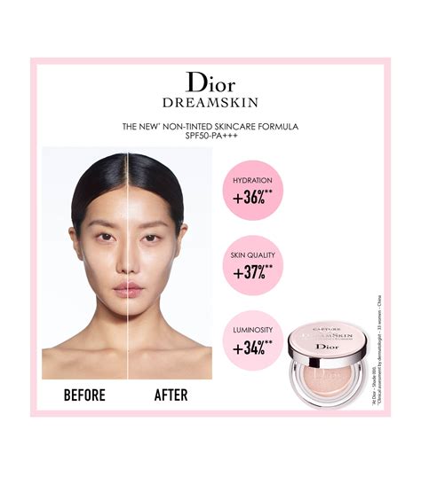 dreamskin cushion refill.